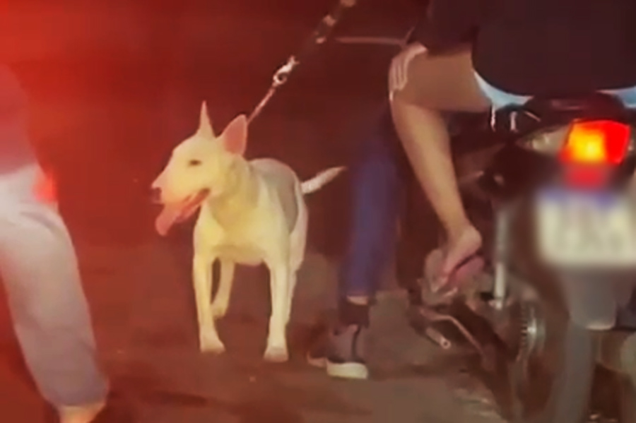 Reprodução/Praia Grande Mil Grau