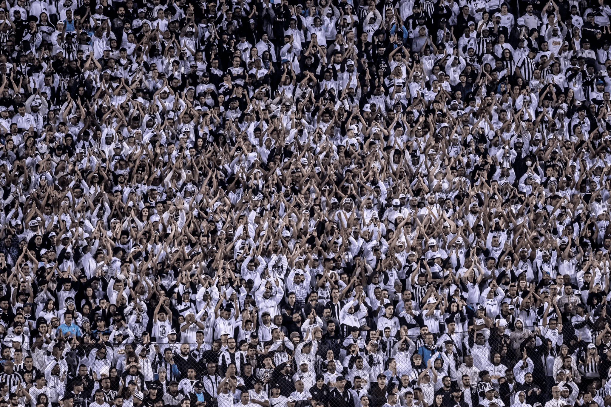 Reprodução/Meu Peixão