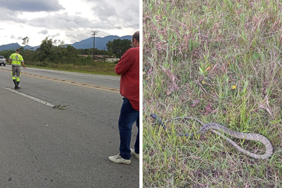 Divulgação/Departamento de Estradas de Rodagem