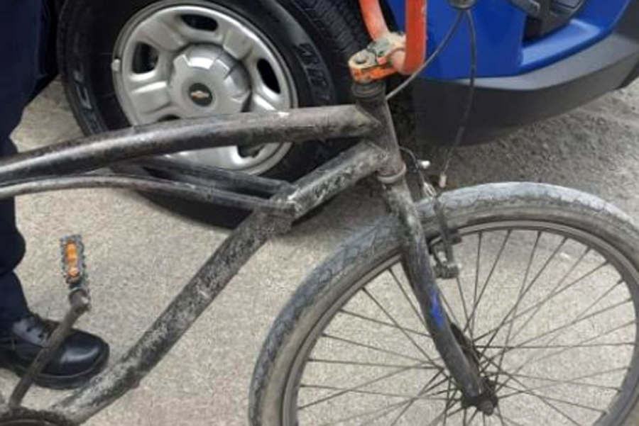 Divulgação/Prefeitura de Santos