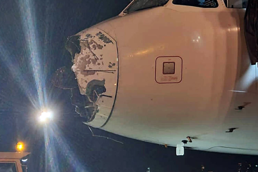 @npyoficial/Reprodução Twitter