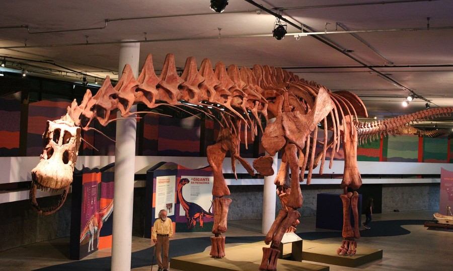 Rovena Rosa / Agência Brasil