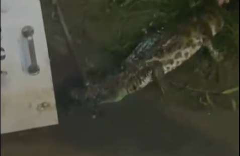 Reprodução/Aconteceu em Bertioga