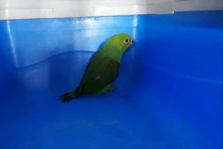 Divulgação/Prefeitura de São Vicente