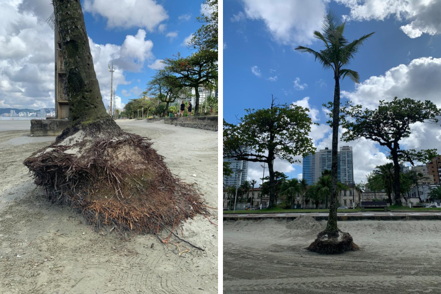 Divulgação/Prefeitura de Santos 