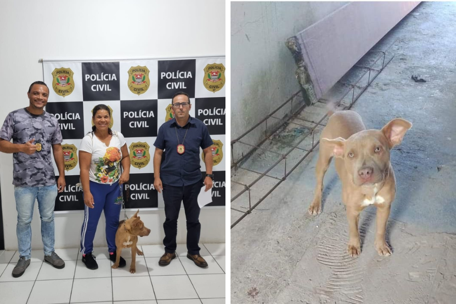 Divulgação/Polícia Civil