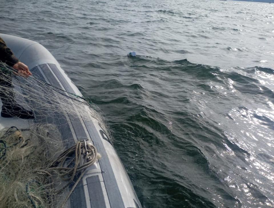 Divulgação/Policia Ambiental 