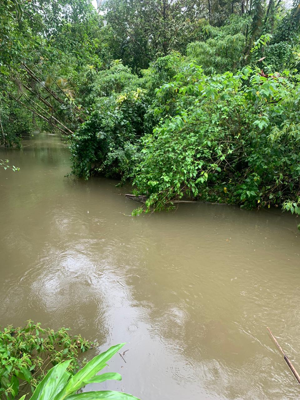 Divulgação/Polícia Civil 