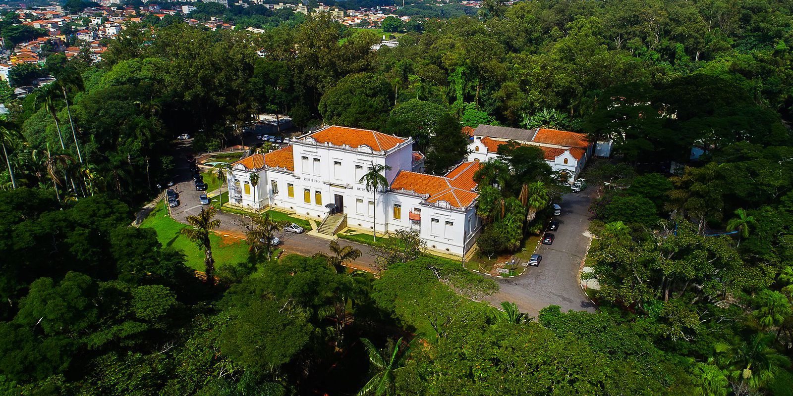 Instituto Butantan