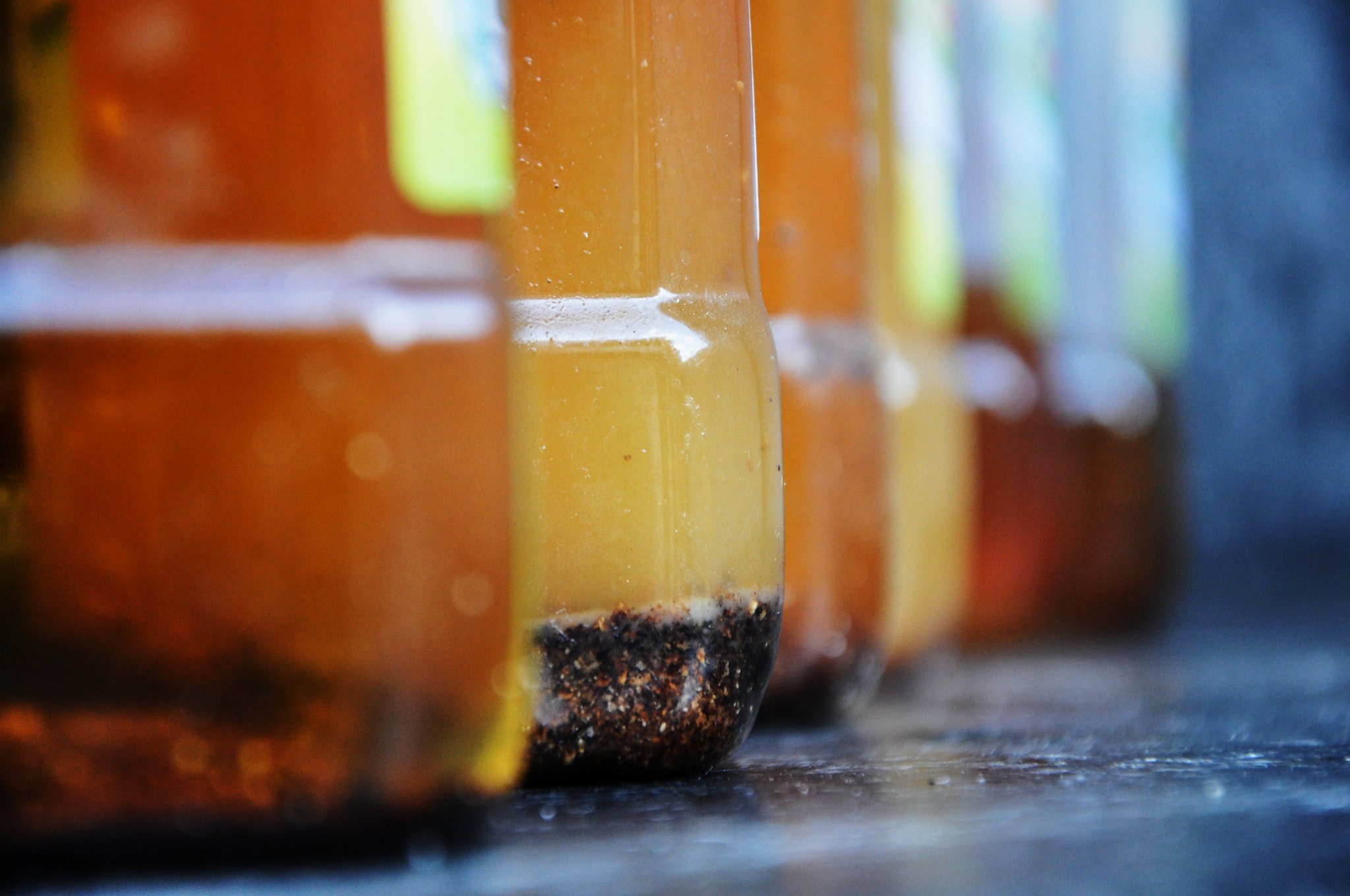 Divulgação/Prefeitura de Guarujá