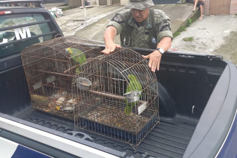 Divulgação/Prefeitura de São Vicente 