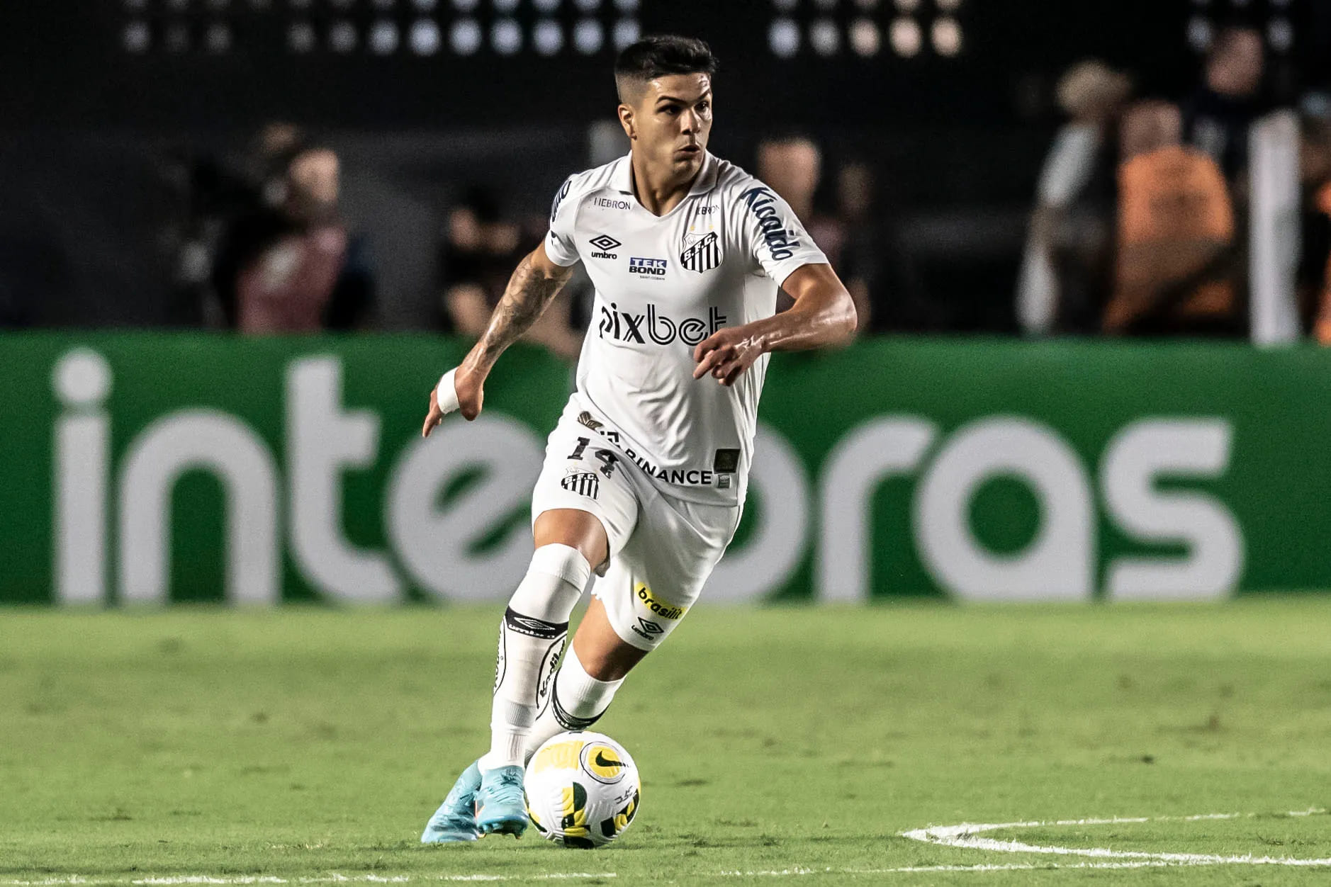 Reprodução / Meu Peixão