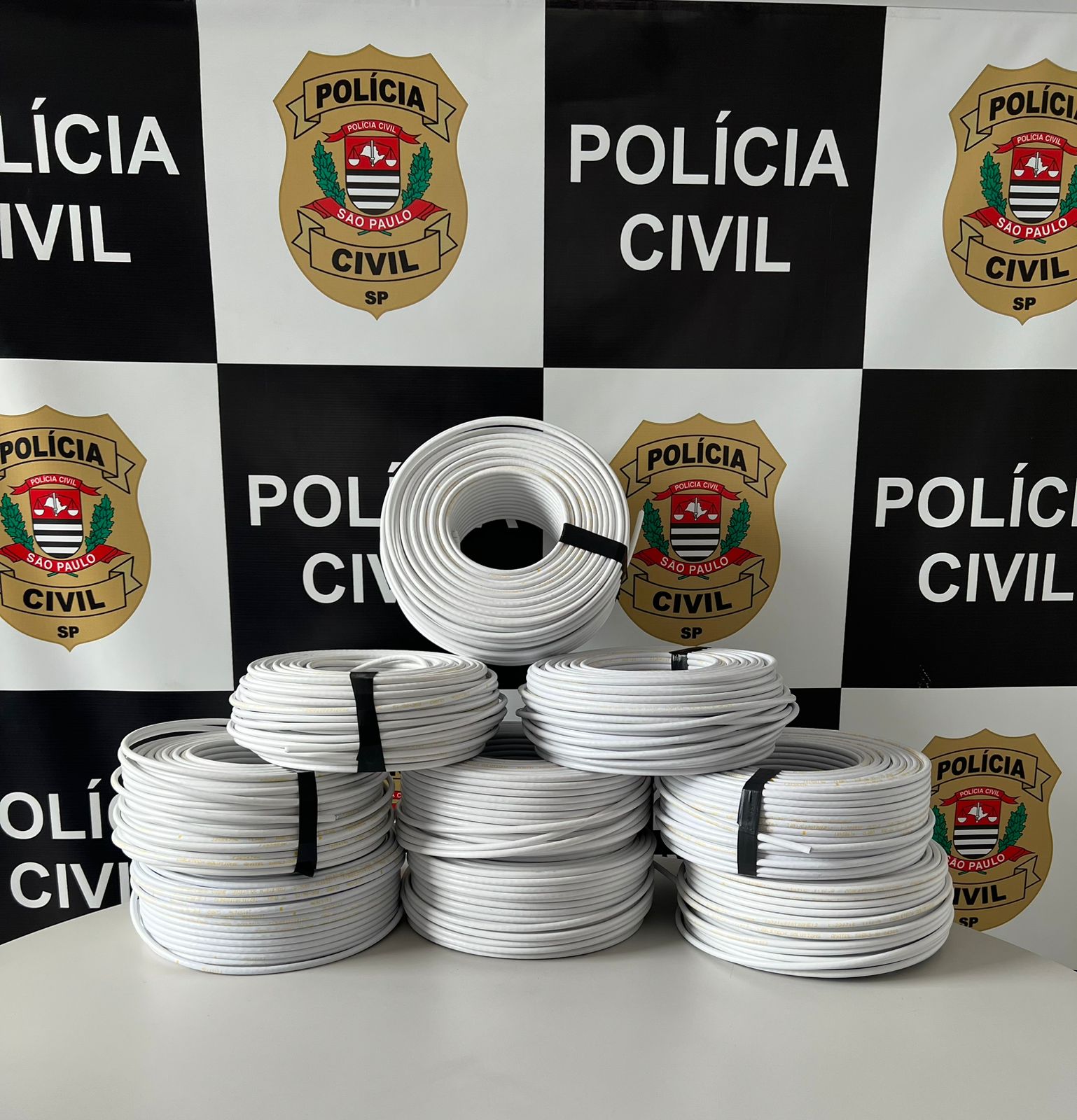 Divulgação/Polícia Civil