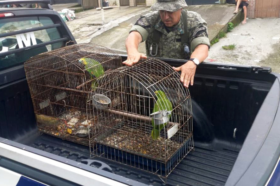 Divulgação/Prefeitura de São Vicente