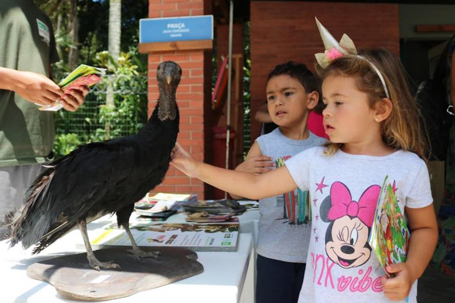 Isabela Carrari/Arquivo Divulgação Prefeitura de Santos