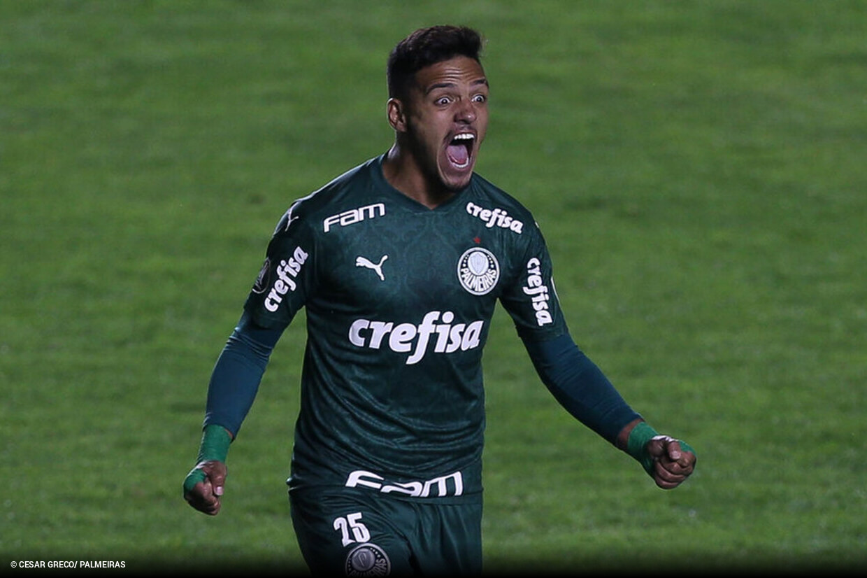 Cesar Greco/Palmeiras