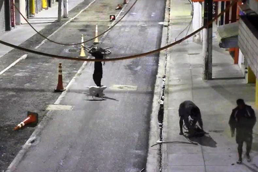 Divulgação/CCO/PMS