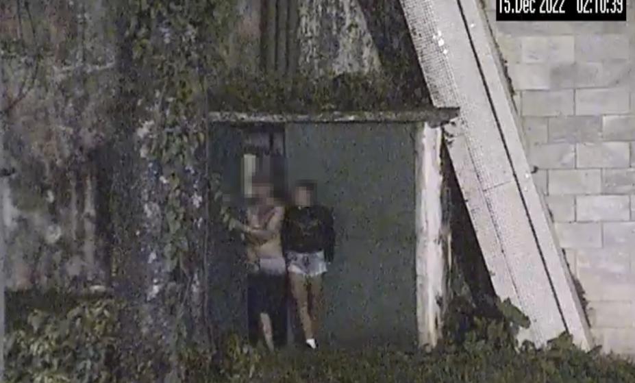 Divulgação/Prefeitura de Santos