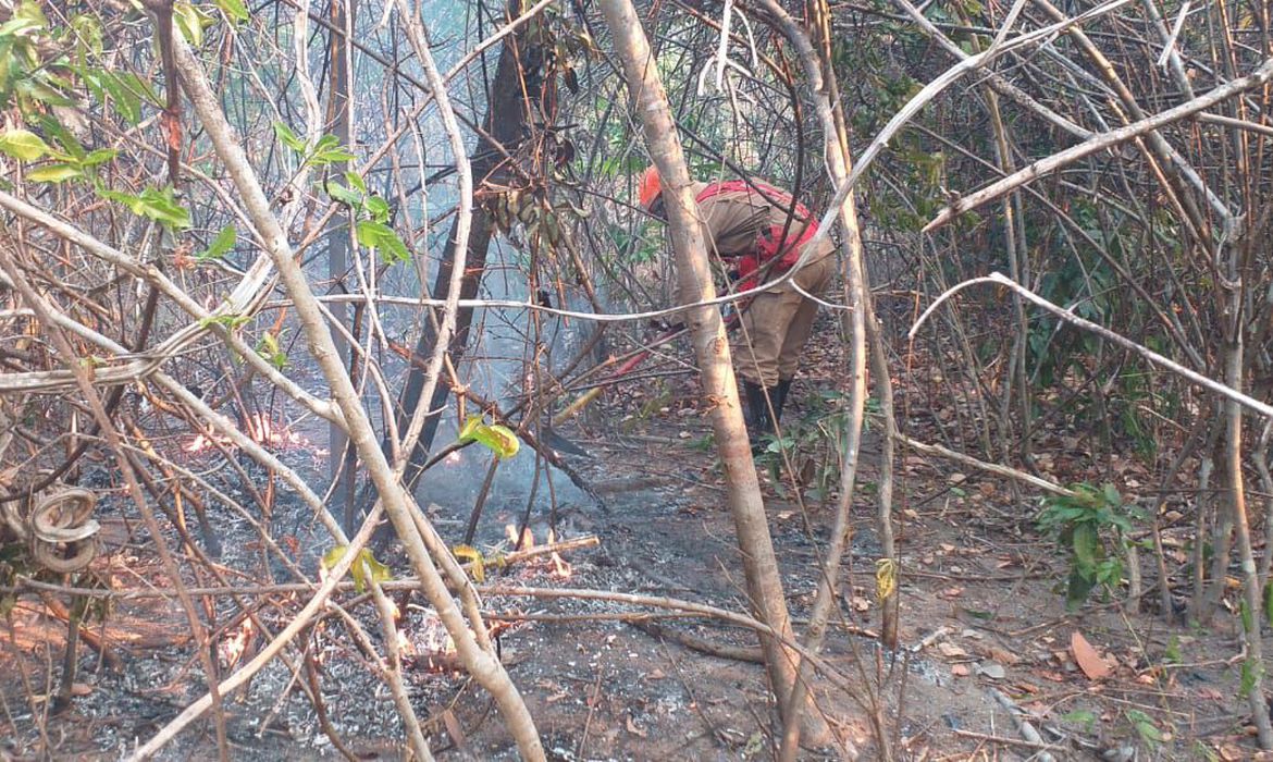 Arquivo/Corpo de Bombeiros de Goiás