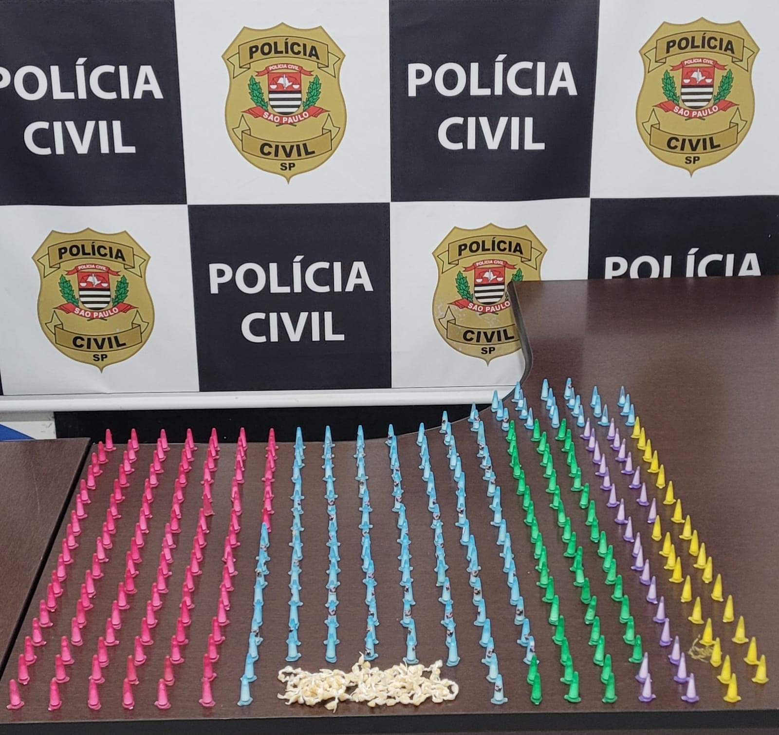 Divulgação/Polícia Civil