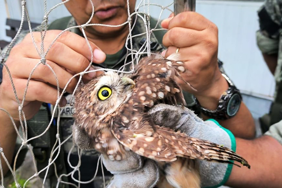 Divulgação/Prefeitura de São Vicente