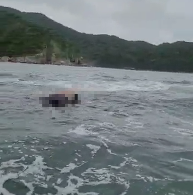 Reprodução/PG no Ar 