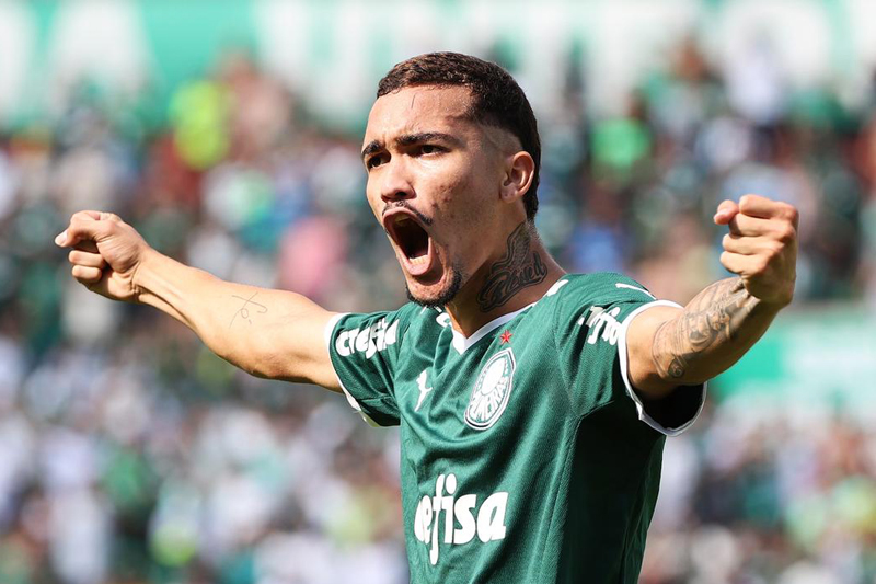 Divulgação/SE Palmeiras
