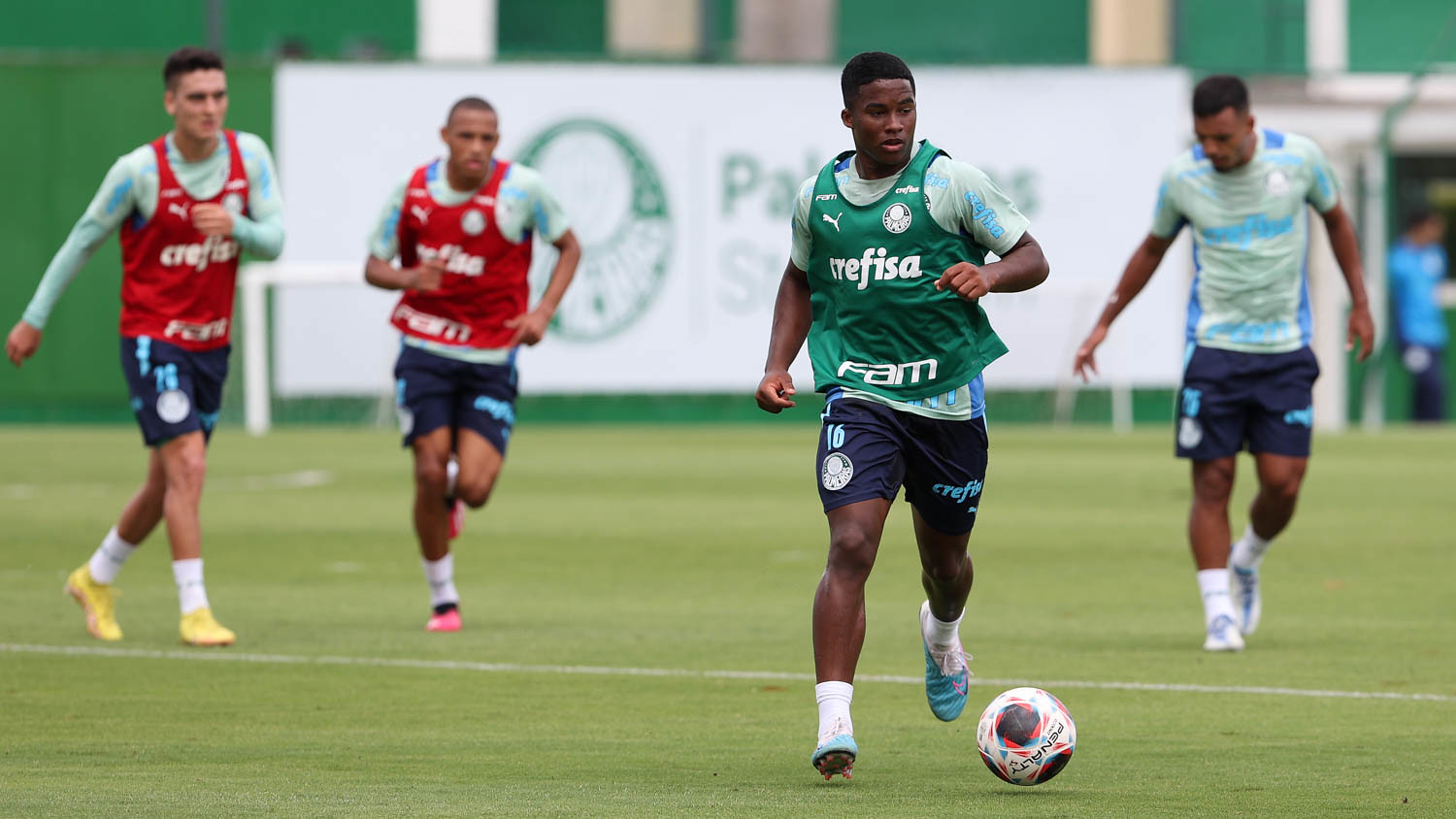 Cesar Greco/Palmeiras