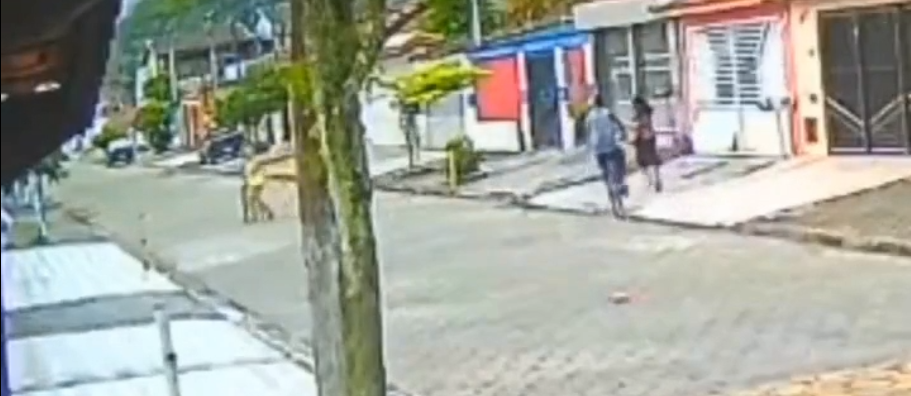 Reprodução/SOS Mongaguá