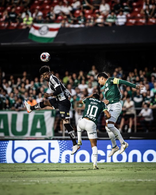 Palmeiras terá quatro desfalques para confronto com América-MG