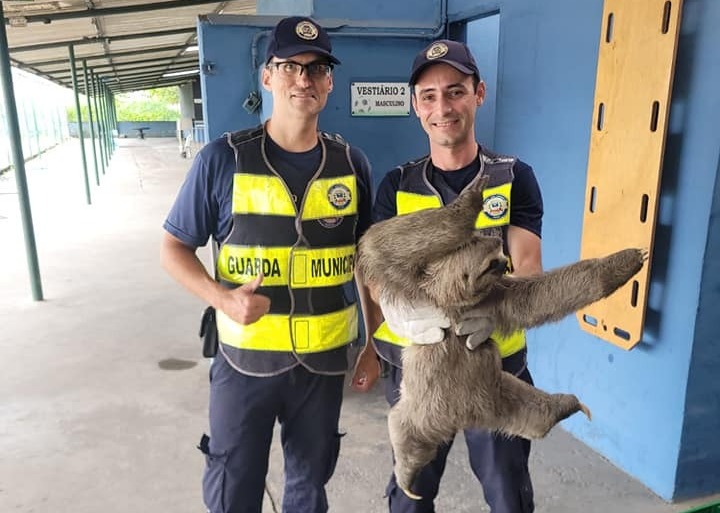 Reprodução/David Pereira/Viver em Santos e Região