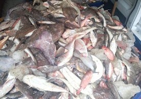 Divulgação/Polícia Militar