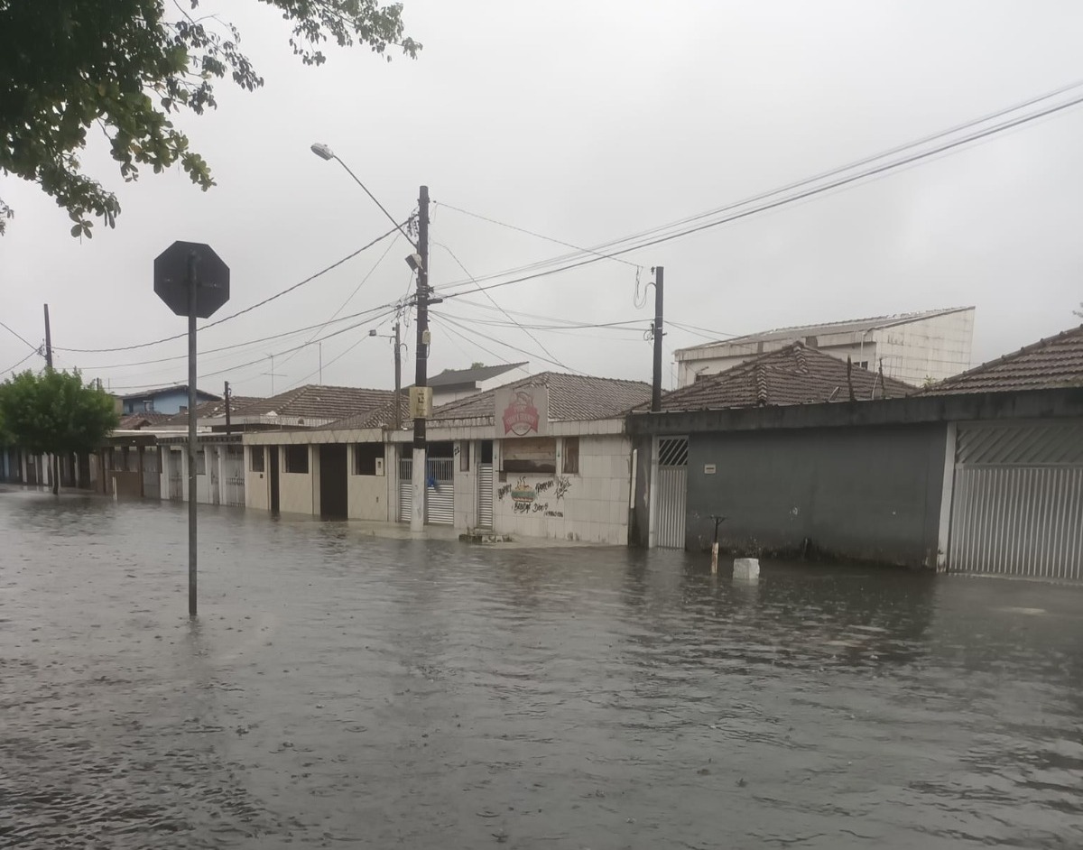 Reprodução/Viver em Santos