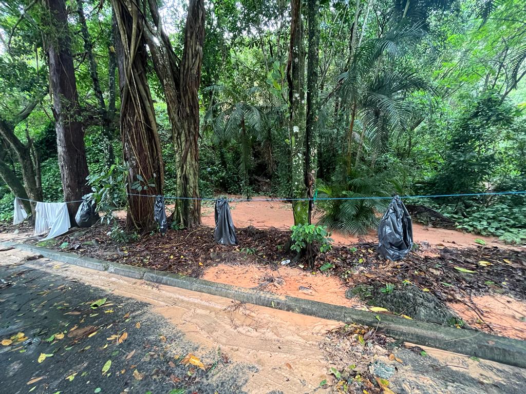 Yasmin Braga/Santa Cecília TV