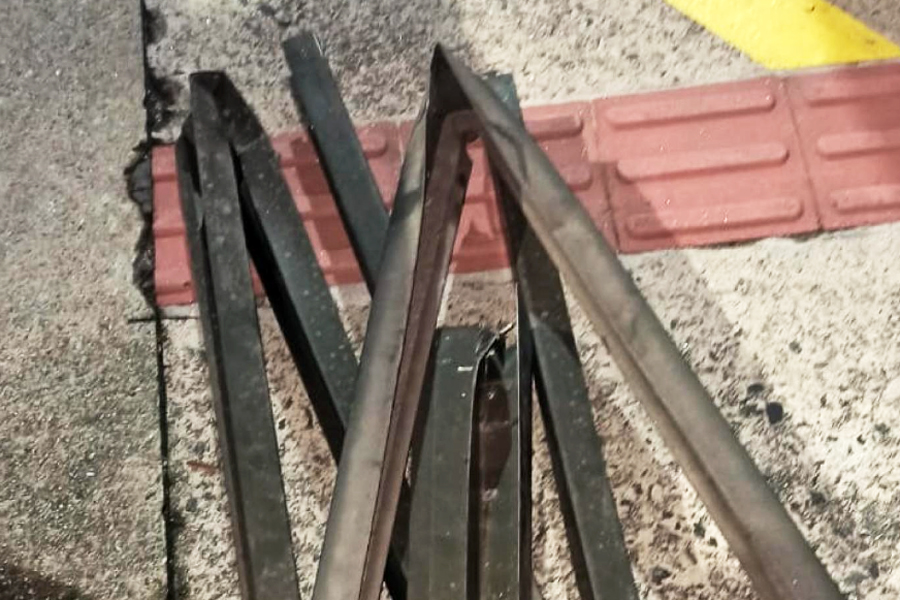 Divulgação/Prefeitura de Santos