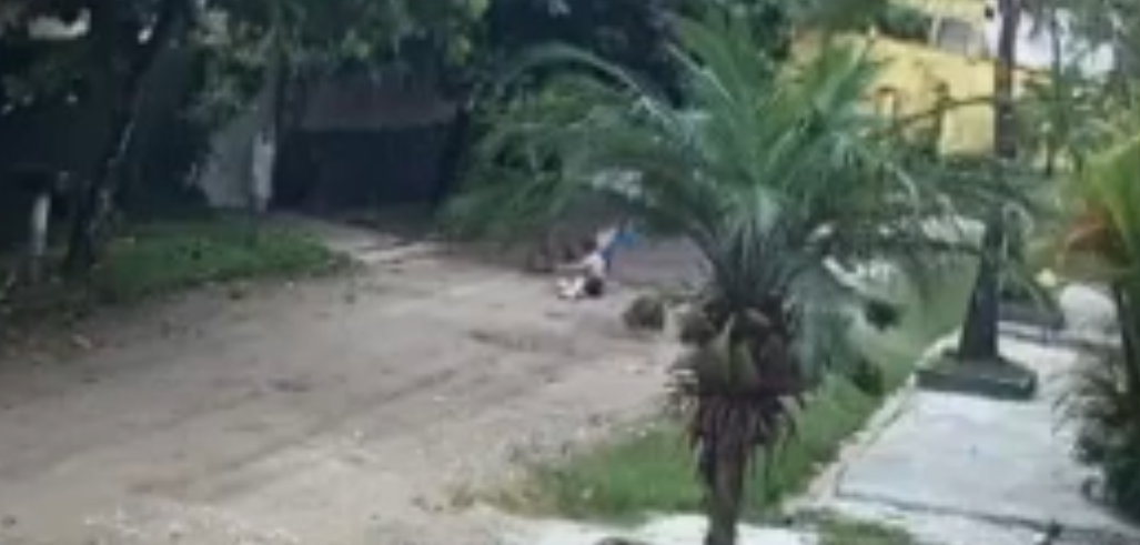 Reprodução/Guarujá Mil Grau