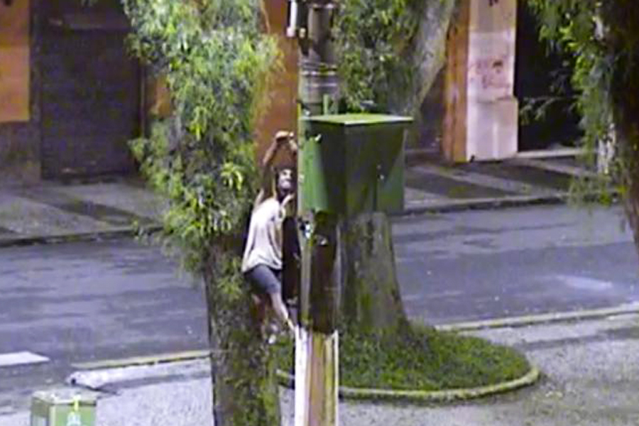 Divulgação/Prefeitura de Santos