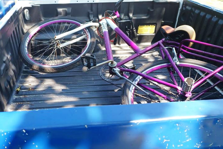 Divulgação/Prefeitura de Santos