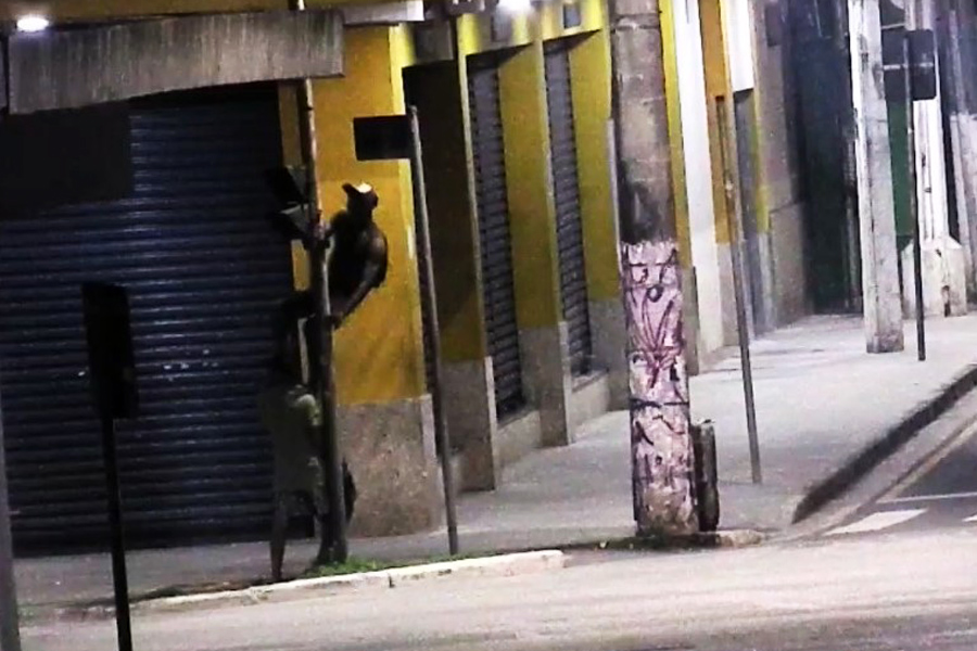 Divulgação/Prefeitura de Santos