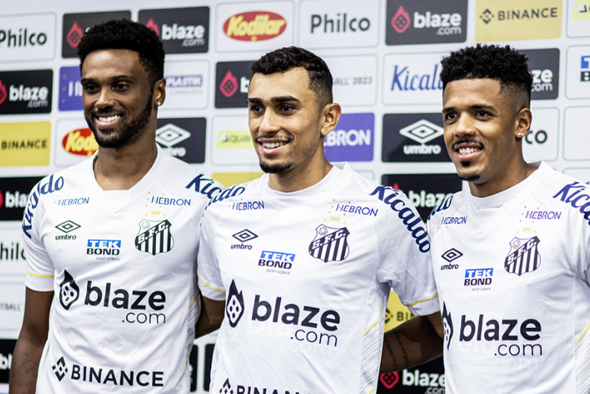 Raul Baretta/Santos FC.