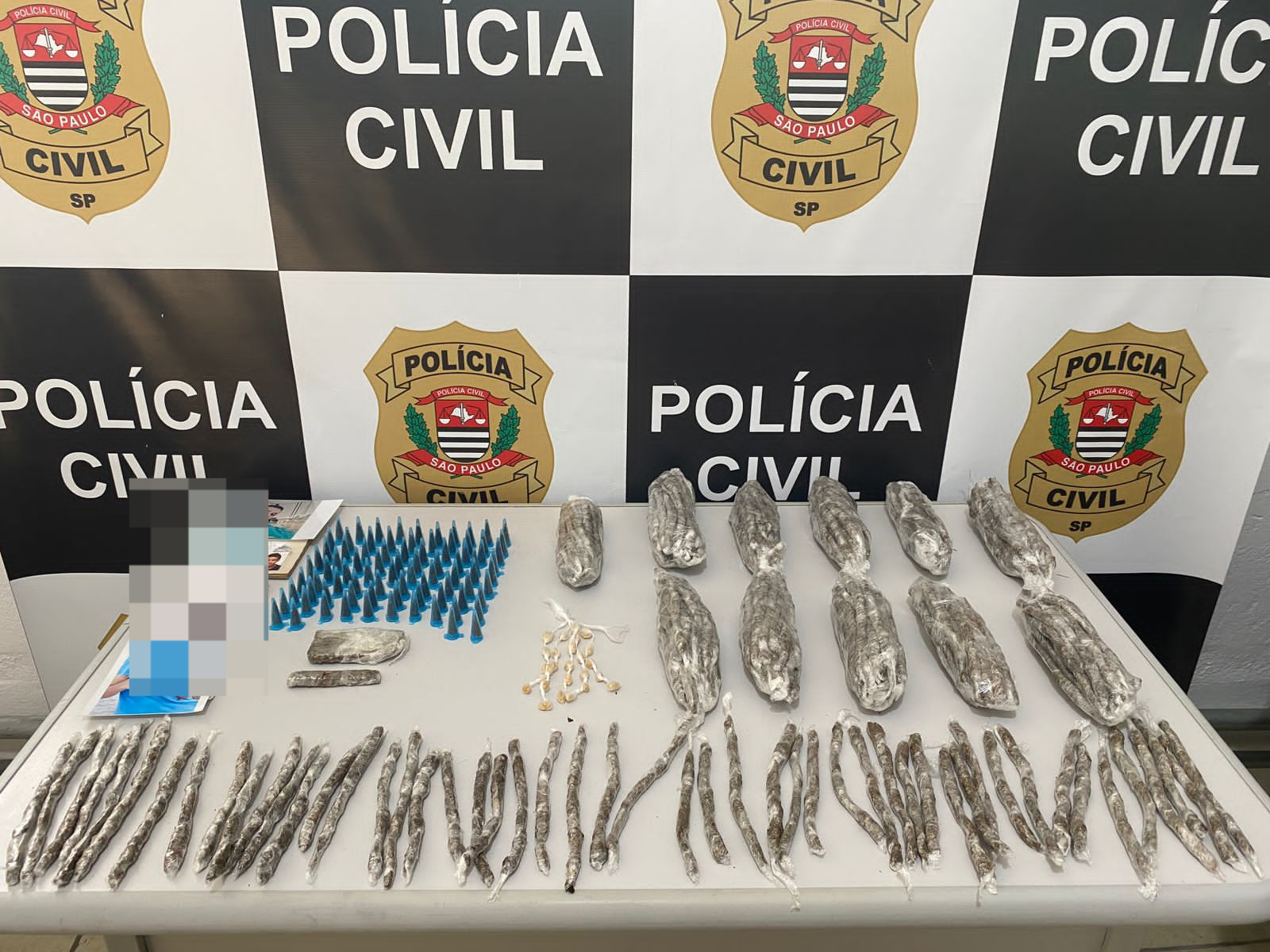 Divulgação/Polícia Civil
