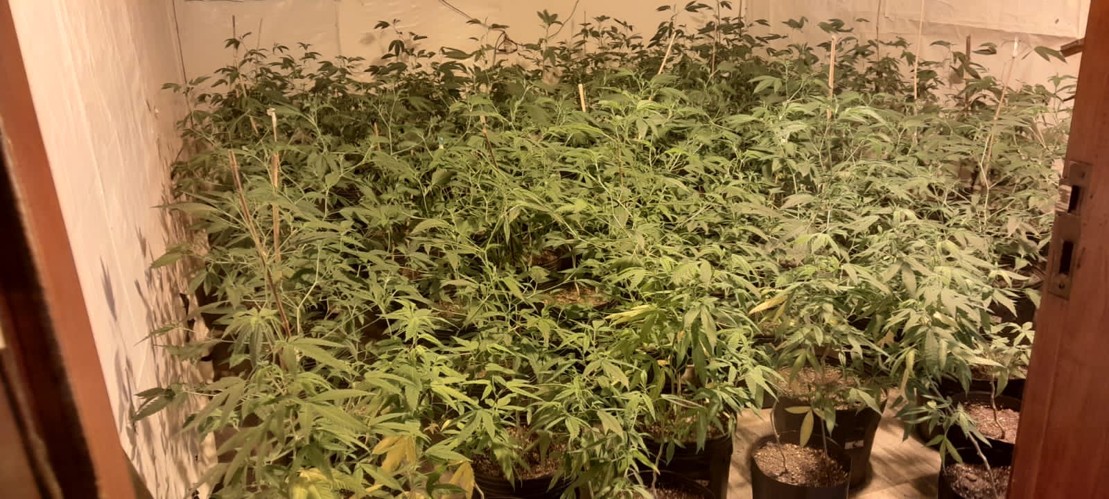 Divulgação/Polícia Civil