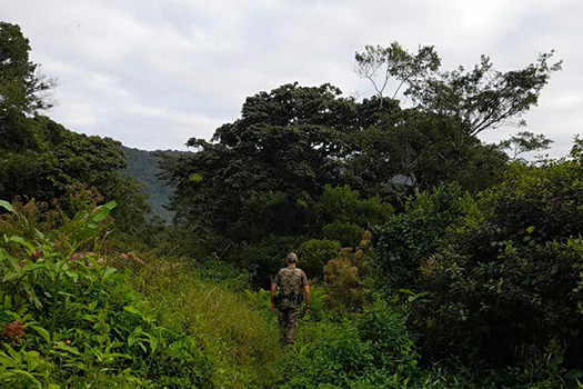 Divulgação/Prefeitura de Praia Grande
