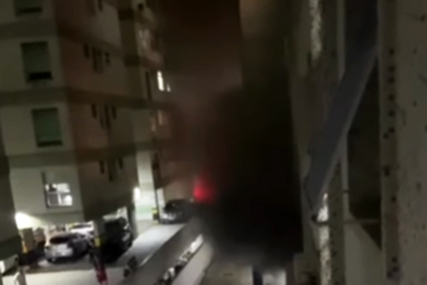 Reprodução/Viver em Santos e Região