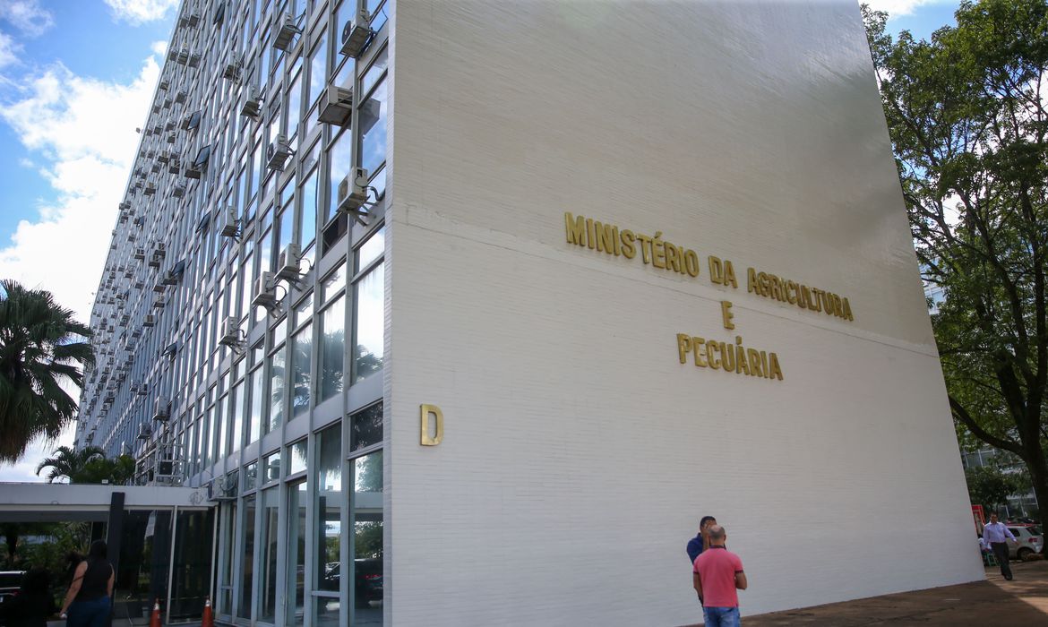 José Cruz/Agência Brasil