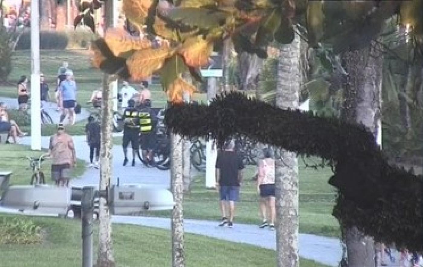 Reprodução/Prefeitura de Santos