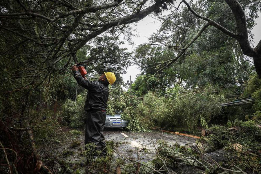 Divulgação/Prefeitura POA