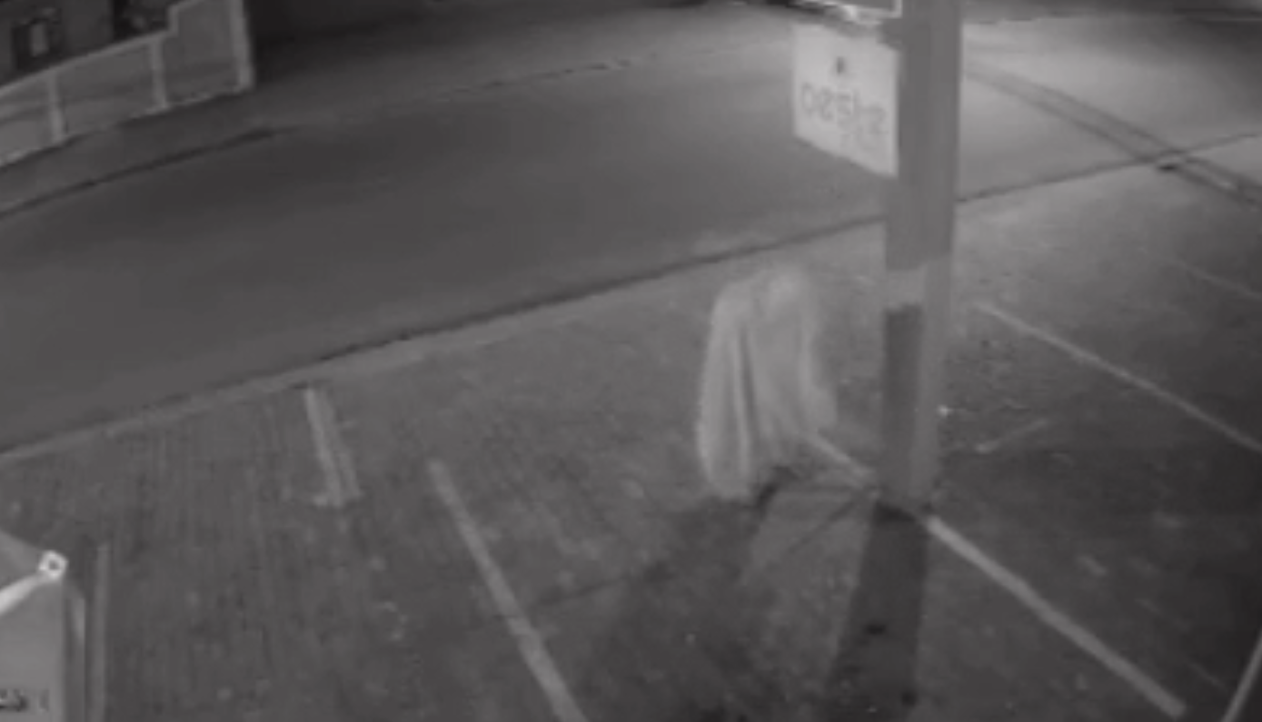 Reprodução/Aconteceu em Bertioga