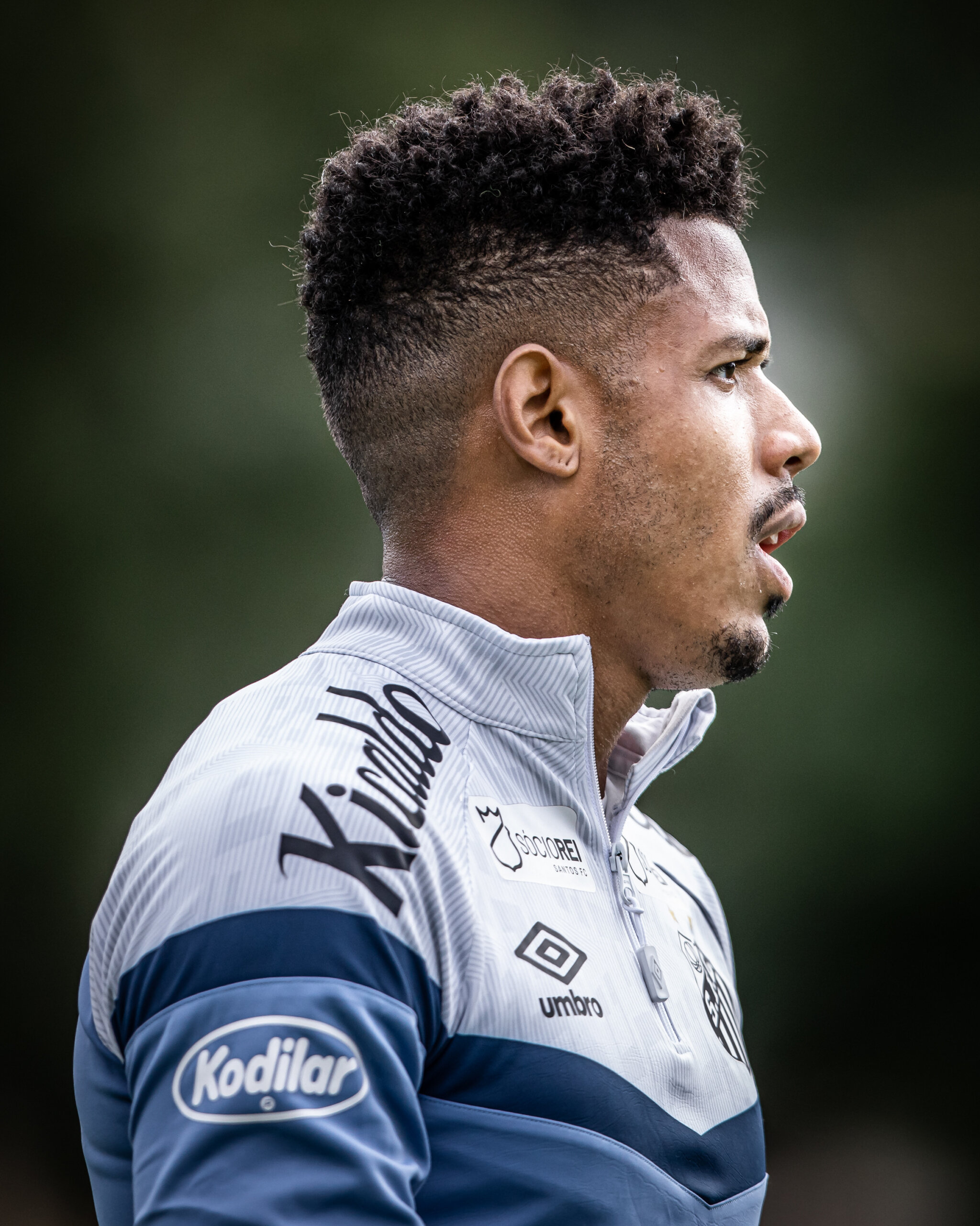 Raul Baretta/Santos FC