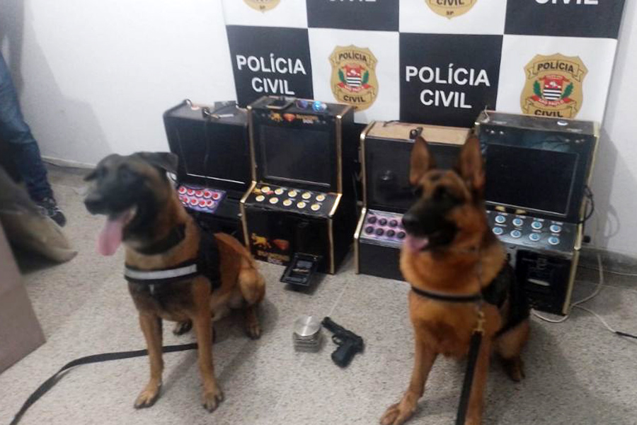 Divulgação/Prefeitura de São Vicente